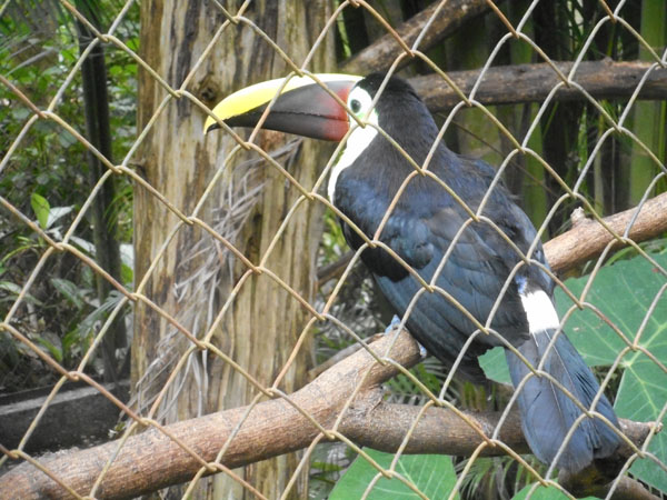 costa rica