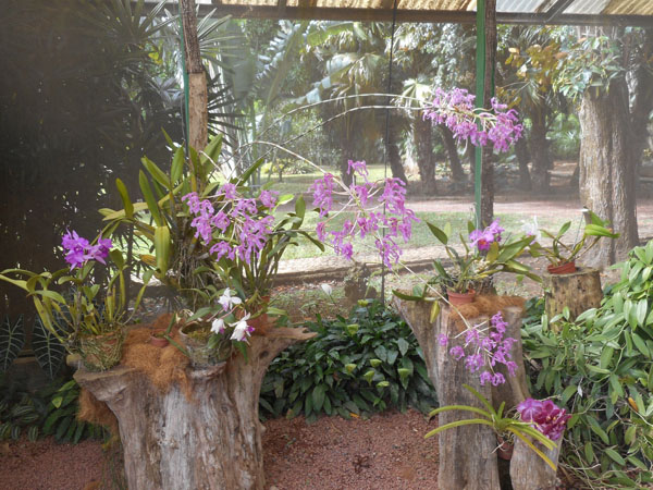 costa rica