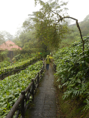 costa rica