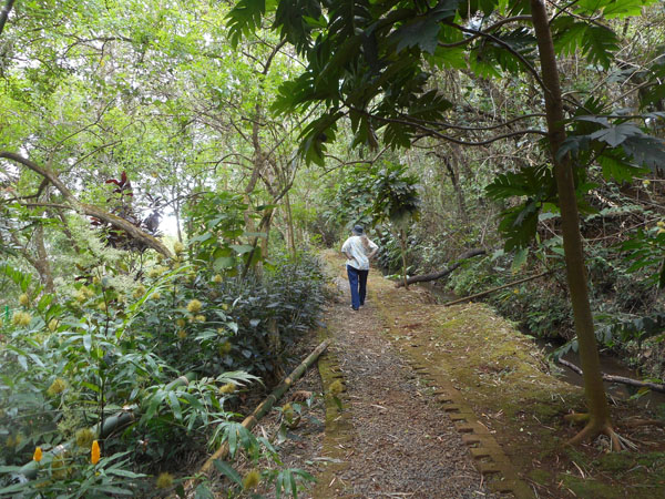 costa rica