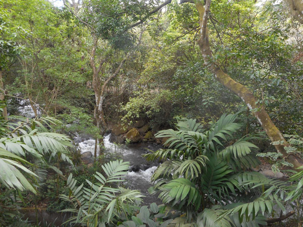 costa rica