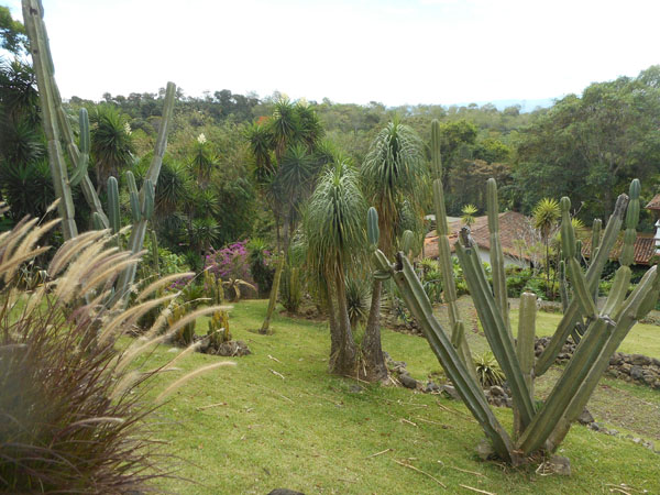 costa rica