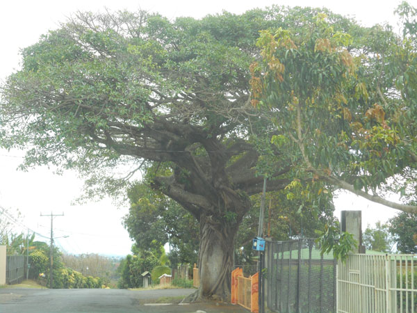 costa rica