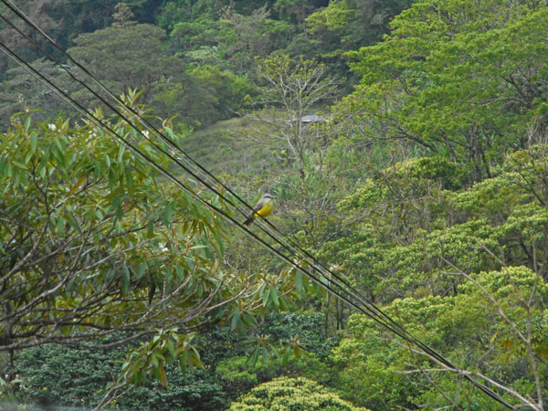 Costa Rica