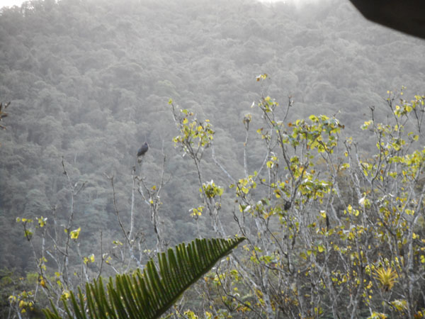 Costa Rica