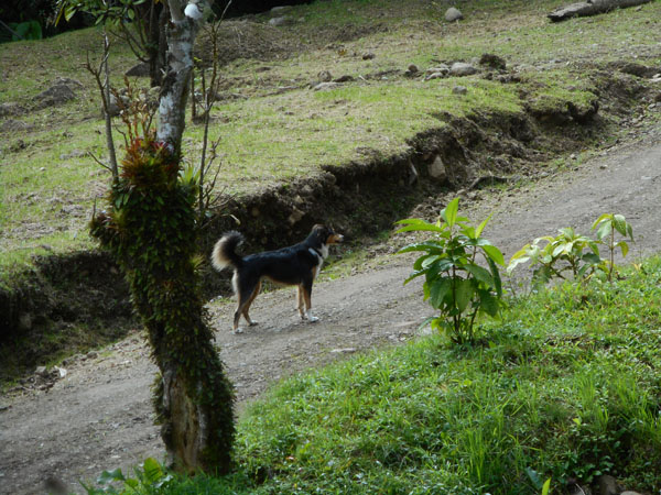 Costa Rica