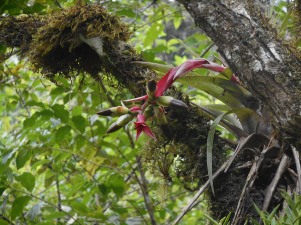 Costa Rica