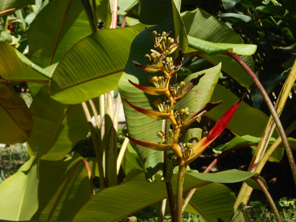 Costa Rica