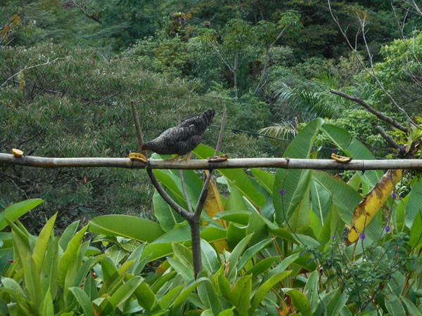 Costa Rica