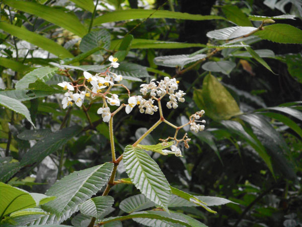 Costa Rica