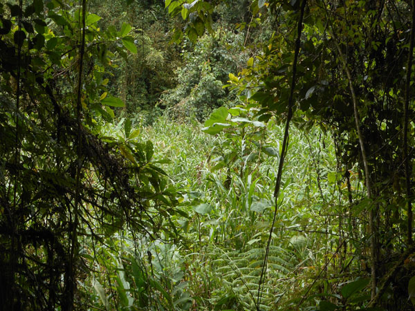 Costa Rica