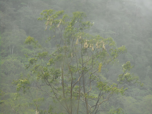 Costa Rica