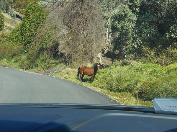 Costa Rica