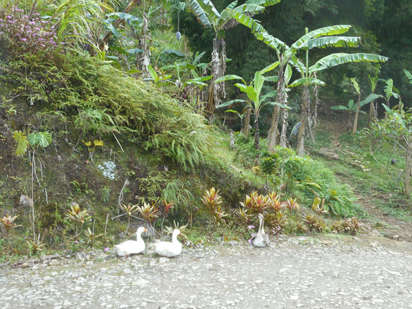 Costa Rica