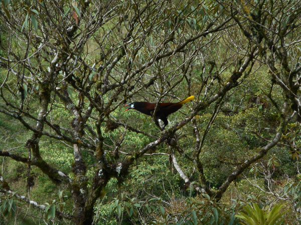 Costa Rica