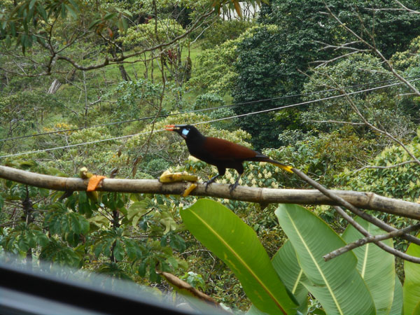 Costa Rica