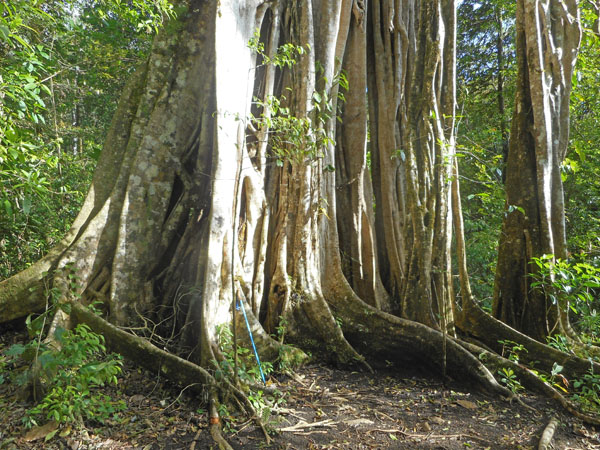 Costa Rica