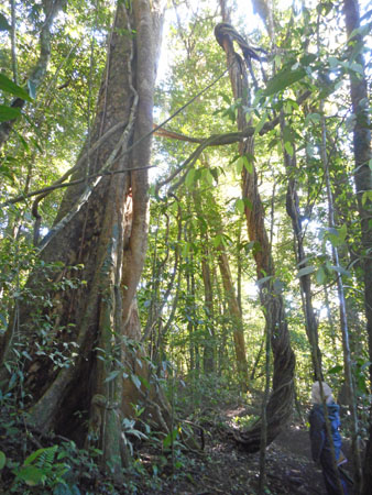 Costa Rica