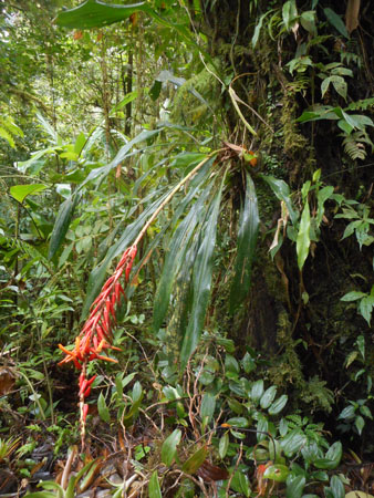 Costa Rica