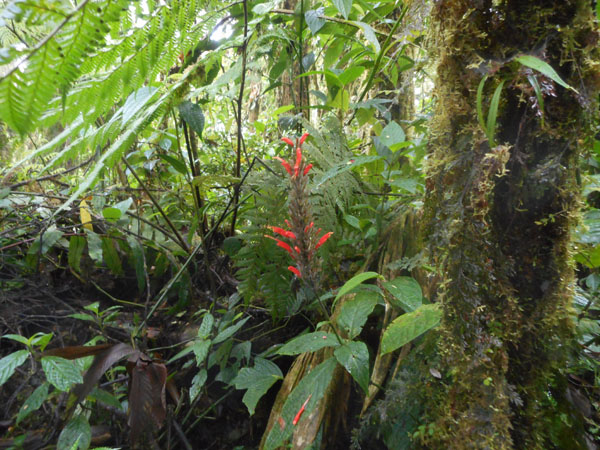 Costa Rica