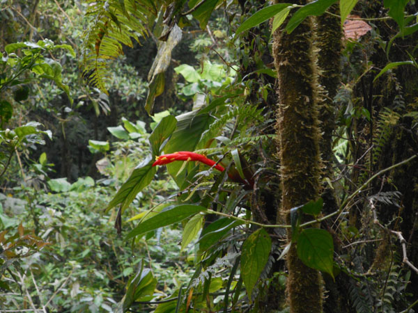 Costa Rica