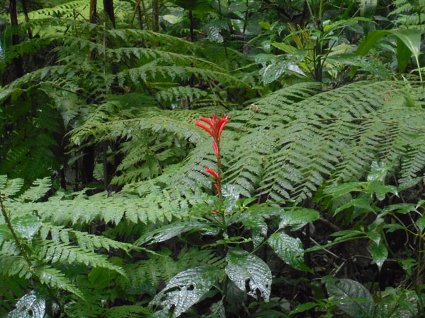 Costa Rica