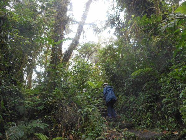 Costa Rica