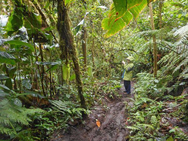 Costa Rica