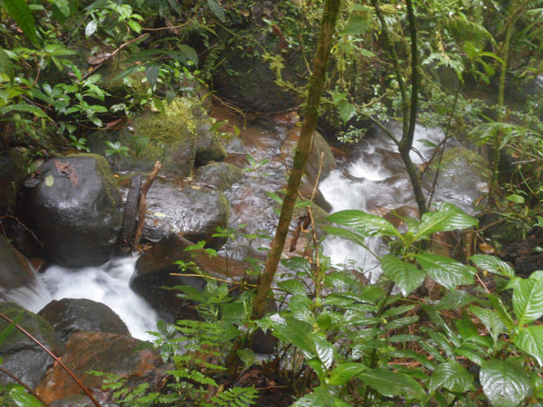 Costa Rica