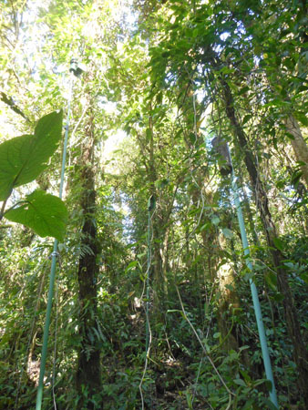 Costa Rica