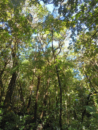 Costa Rica