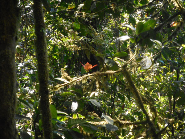 Costa Rica