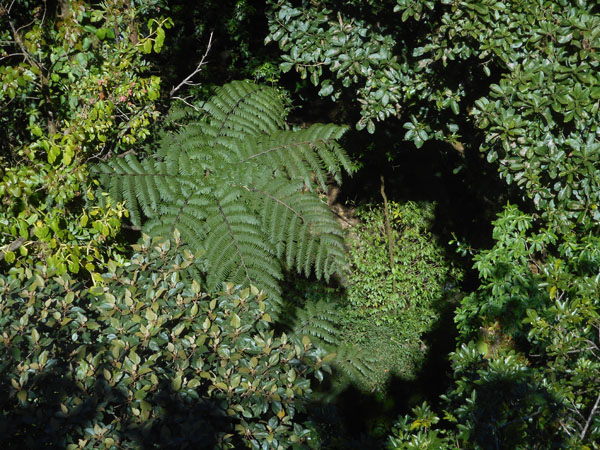 Costa Rica