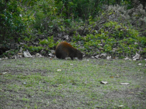 Costa Rica