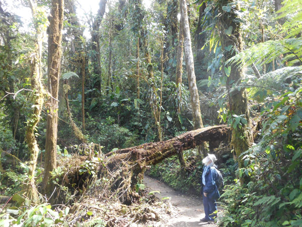 Costa Rica