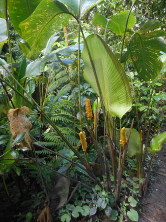 Costa Rica