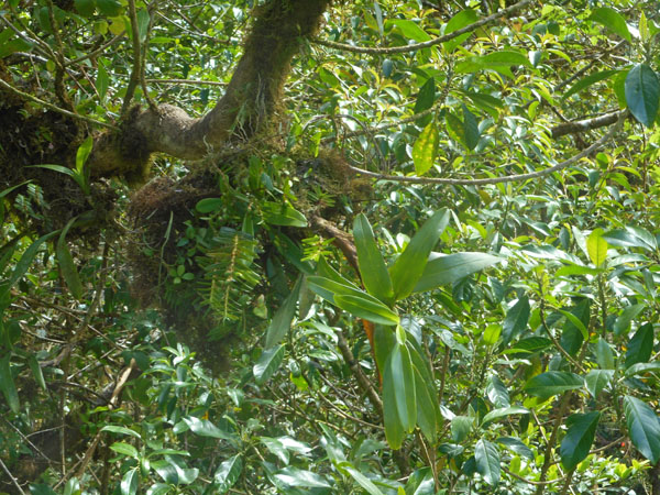 Costa Rica