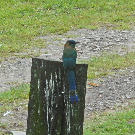 Costa Rica