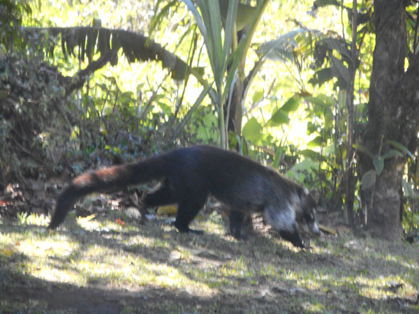 Costa Rica