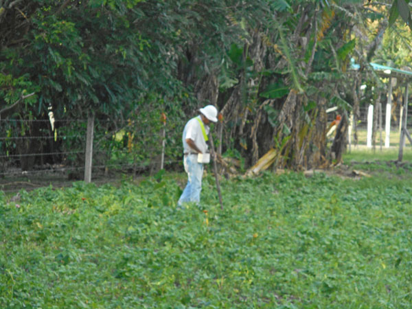 Costa Rica