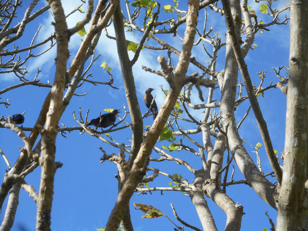 Costa Rica