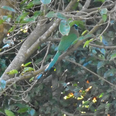 Costa Rica