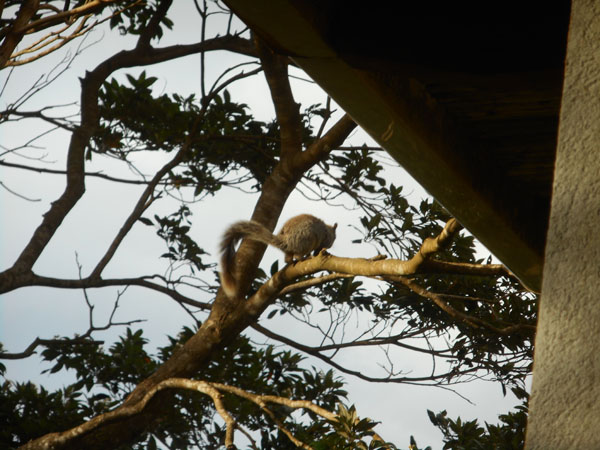 Costa Rica