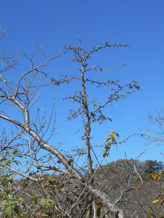 Costa Rica