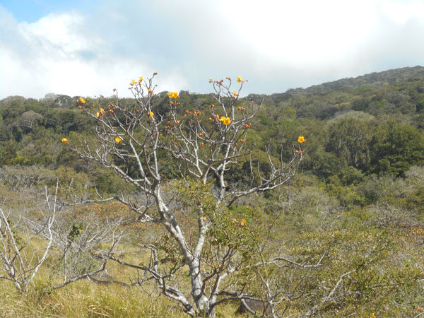 Costa Rica