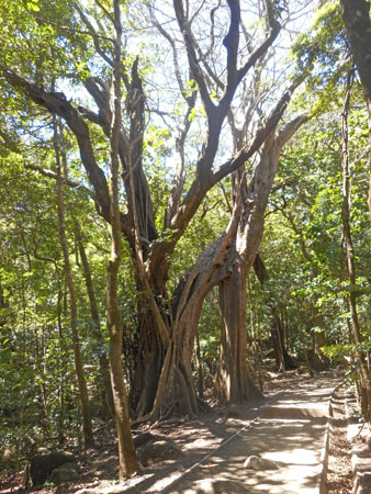 Costa Rica