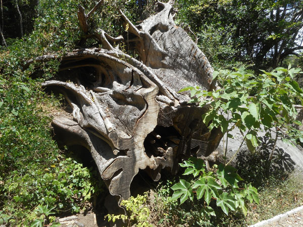 Costa Rica