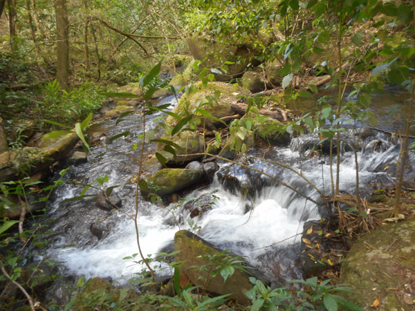 Costa Rica