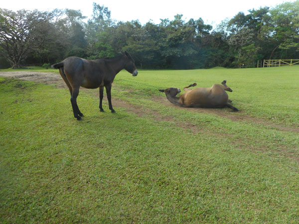 Costa Rica