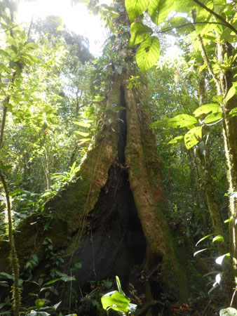 Costa Rica